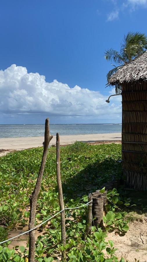 Casa Aratu Holiday home *